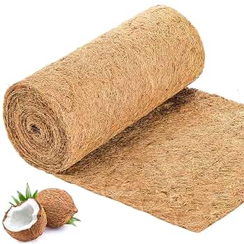 【coco-iris】 CoCo - Iris - 00195708019017